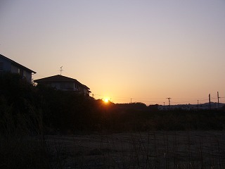 P1000077.jpg