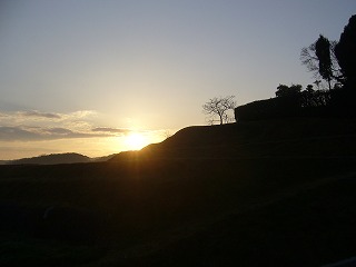 P1000202.jpg
