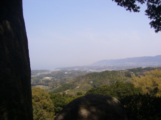 P1000290.jpg