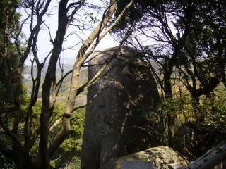 P1000292.jpg