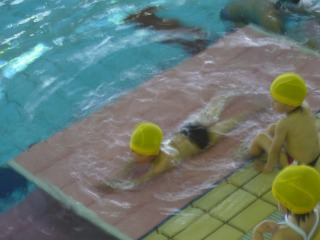 P1000352.jpg