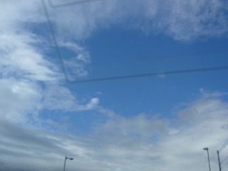 P1000445.jpg