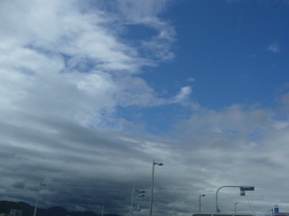 P1000448.jpg