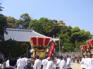 P1000670.jpg