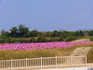 P1010108.jpg