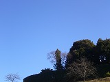 P1010415.jpg