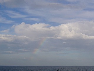 P1010417-1.jpg