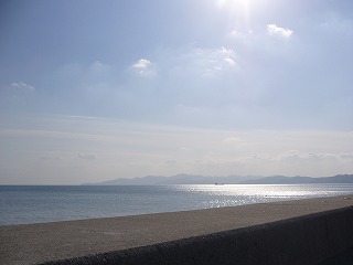 P1010432.jpg