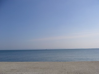 P1010433.jpg