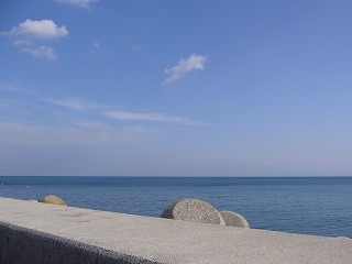 P1010434.jpg
