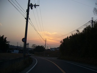 P1010586.jpg