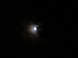 P1010663.jpg