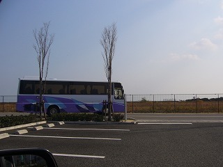 P1020387.jpg