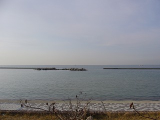 P1020454.jpg