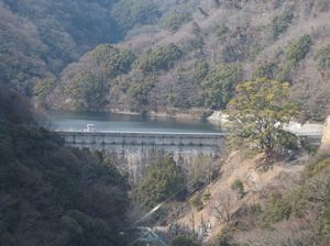 P20150211 (12)_R.JPG