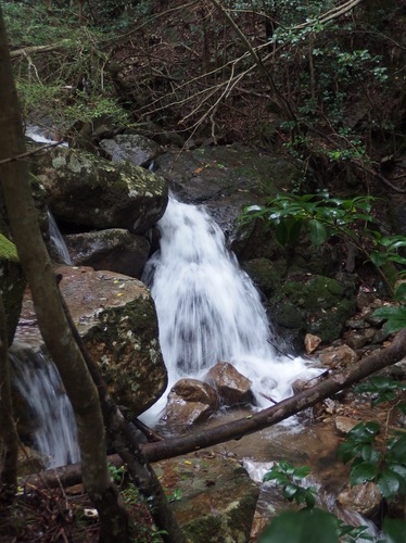 P20150908 (32)_r.JPG