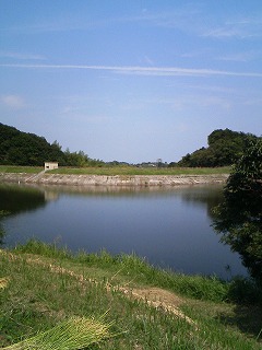 PAP_0035.jpg