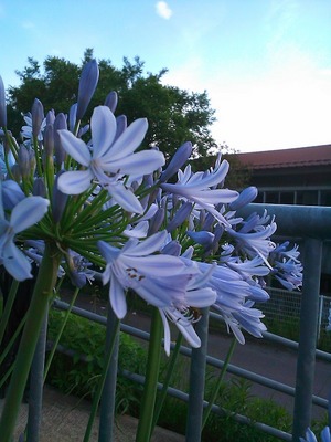 SN3N0124.jpg