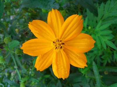 SN3N0140.jpg