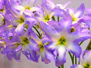 img10111439856.jpg