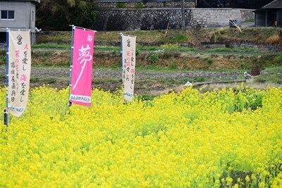 s-DSC20250316 (29).jpg
