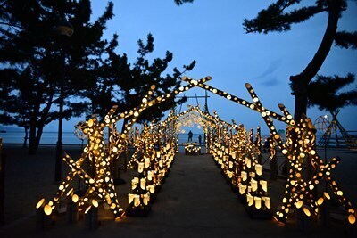 s-DSC20250405 (37).jpg