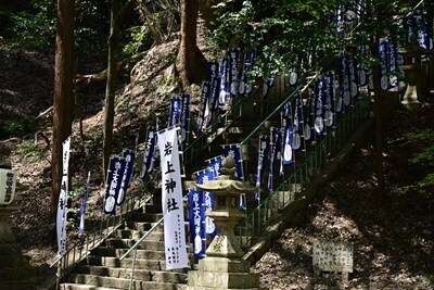 s-DSC20250406 (10).jpg