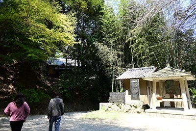 s-DSC20250406 (51).jpg