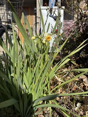 s-IMG_1535.jpg