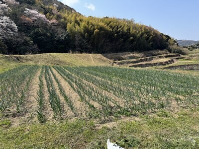 s-IMG_3445.jpg
