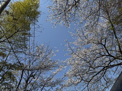 s-IMG_3468.jpg