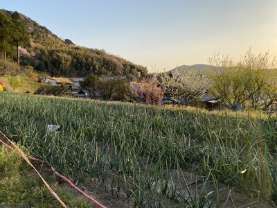 s-IMG_3725.jpg