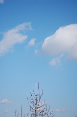 DSC20110120 (19).jpg