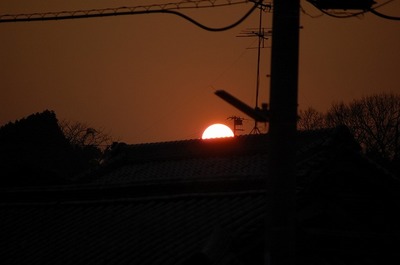 DSC20110124 (1).jpg