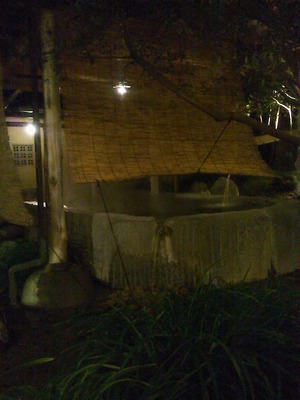 SN3N0329.jpg
